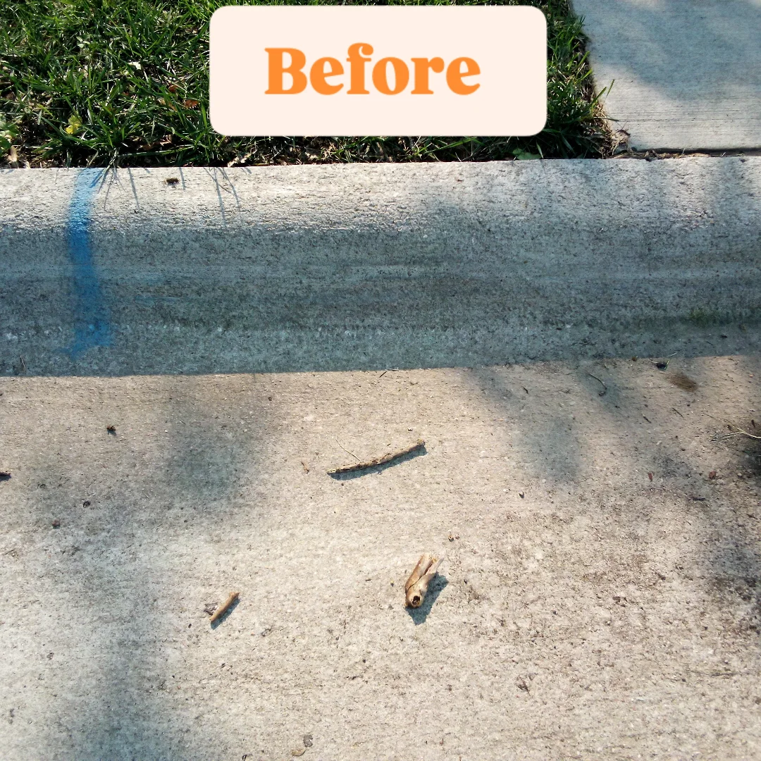 Curb Work 14